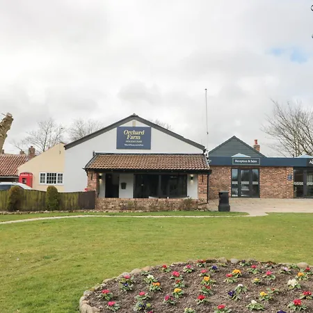 Vakantiehuis Ivy